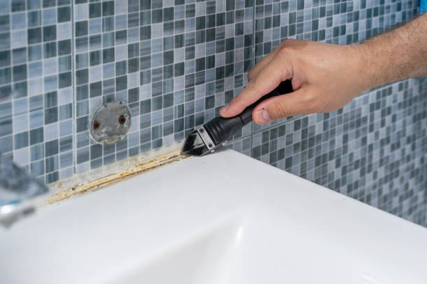 Trusted Long Prairie, MN Mold Removal Experts