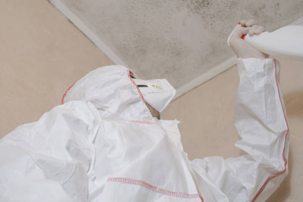 Best Crawl Space Mold Removal  in Long Prairie, MN